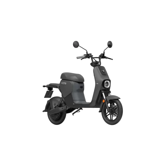 Segway E-Scooter B110S